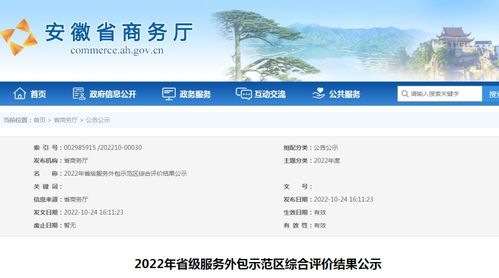 安徽公示2022年省級服務外包示范區綜合評價結果 軟件開發領域表現突出